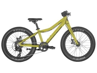 Scott Roxter 20, Green